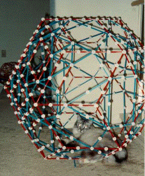 Photo of Kitlet in Omnihedron Model
